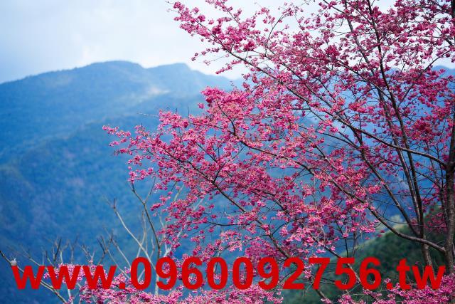 新竹休閒宅-3