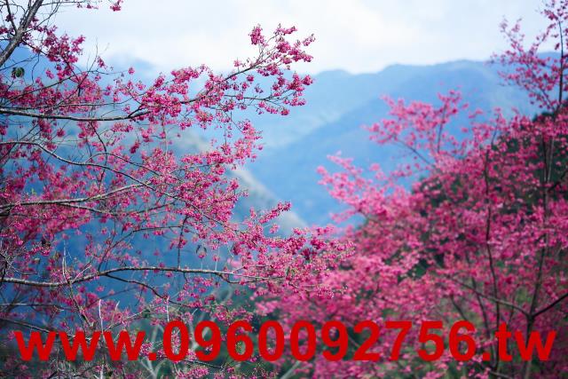新竹休閒宅-6