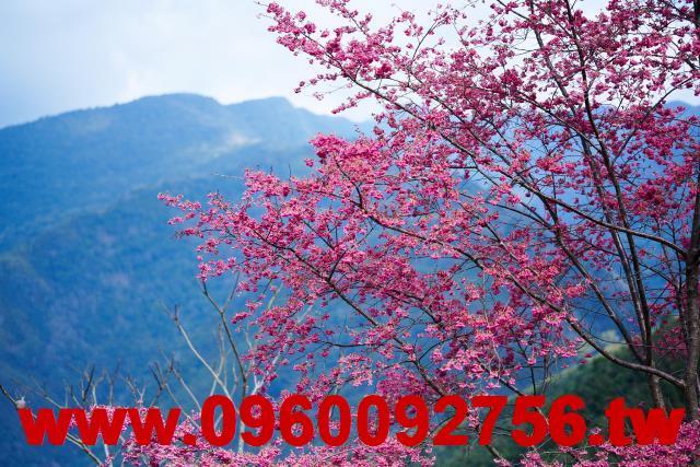 尖石農地-3
