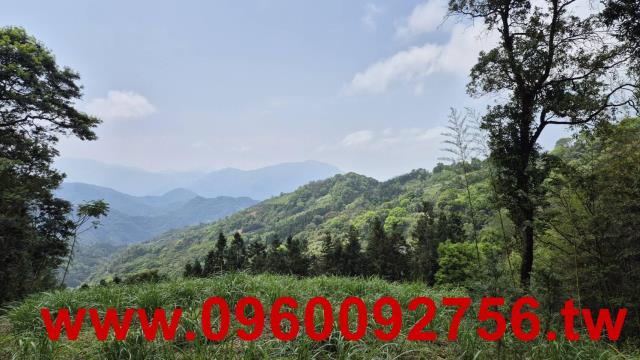 五峰農地-5